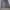 Issey Miyake Futurist Casual Pleated Skirt Wanita Navy Gray