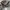 Zenner USA Flag Camo Realtree photo 4