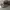 Zenner USA Flag Camo Realtree photo 3
