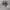 Zenner USA Flag Camo Realtree photo 1