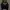 WHO.A.U Casual Hoody Pria navy photo 1