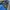 Adidas Casual Windbreaker Pria blue black photo 3