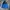 Adidas Casual Windbreaker Pria blue black photo 1