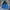 Adidas Casual Windbreaker Pria Blue Black