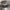 Topi Realtree Nevada Bighorns Unlimited Realtree Camo Twoton photo 4