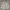 Burberry Luxury Casual Harrington jacket Pria cream photo 2