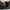 Tas Steve Madden BVICE Woman  photo 6