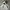 Vintage Streetwear Hoody Pria gray photo 1