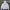 Thisisneverthat White Hoodie  photo 1