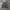 ARMY CARGO PANTS  photo 1