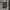 ARMY CARGO PANTS  photo 7