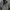 Casual Track jacket Pria black photo 5