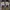 Vans Skater Casual Sneakers Pria navy photo 1