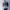 Knit Jumper Redox Homme