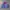 Phenix Vintage Sportswear Windbreaker Pria pink blue photo 2