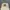 Vintage Y2K Hat Pria white photo 1