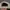 Vintage Y2K Hat Pria white photo 3