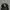 Vintage Y2K Hat Pria black photo 1