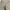 Ermenegildo Zegna Tactical Pants Size : photo 3