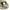 Jacquard House knitted ss polo shirt lime khaki kaos kerah  photo 5