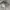 N sherpa winter corduroy size M wanita G040 photo 4