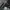 Dongcheng NSK Cargo Army Pants photo 6