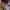 airmax plus tn3 photo 3