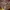 airmax plus tn3 photo 2
