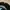 Daiwing full galaxy  photo 3