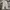 thisisneverthat Streetwear Casual Jeans Pria multicolor photo 4