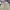 thisisneverthat Streetwear Casual Jeans Pria multicolor photo 5