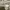 thisisneverthat Streetwear Casual Jeans Pria multicolor photo 7