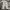thisisneverthat Streetwear Casual Jeans Pria multicolor photo 3