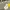thisisneverthat Streetwear Casual Jeans Pria multicolor photo 6