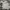 thisisneverthat Streetwear Casual Jeans Pria multicolor photo 2