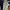Vans Collection Sneakers Sepatu Vans