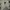 Vast  photo 1