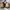 Timberland Casual Casual shoe Pria brown photo 7