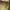 Timberland Casual Casual shoe Pria brown photo 4