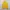 Vintage 90s DISCUS ATHELTIC YELLOW BLANK CREWNECK photo 1