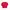 Lacoste Vintage Casual Cardigan Pria Red