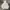 Hoodie Piko Vintage Flame photo 1
