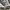 Adidas Casual Hoody Pria gray photo 4