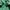 OiOi Streetwear Hoody Pria green photo 5