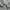 Adidas Casual Track jacket Pria white photo 4