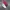 Nike Casual Casual shoe Pria white red photo 5
