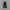 Pleats Please Issey Miyake Pleated Pants photo 1