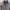 windbracker photo 3