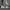 Lovely Shoes Minimalist Casual Sneakers Wanita black photo 2
