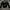 army shirt grunge, emo, punk, goth, grunge, gothic , alt photo 2